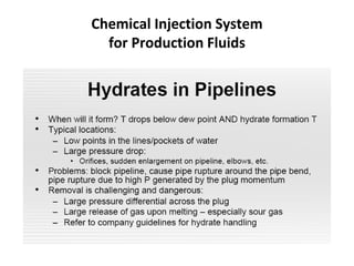 Chemical Injection System
for Production Fluids
 