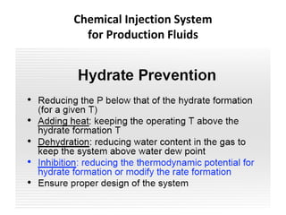 Chemical Injection System
for Production Fluids
 