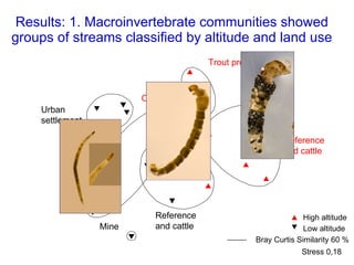 Results: 1. Macroinvertebrate communities showed groups of streams classified by altitude and land use High altitude Low altitude Bray Curtis Similarity 60 % Stress 0,18 Reference and cattle Urban settlement Reference and cattle Mine Trout production Car wash 