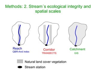 Methods: 2. Stream´s ecological integrity and spatial scales Reach QBR-And index Catchment GIS Corridor TRANSECTS Natural land cover vegetation  Stream station 