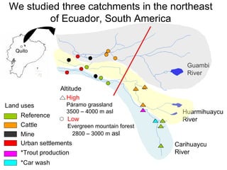 Quito N Carihuaycu River Huarmihuaycu River Guambi River We studied three catchments in the northeast of Ecuador, South America Reference  Land uses Cattle  Mine Urban settlements *Trout production *Car wash Low  Evergreen mountain forest  2800 – 3000 m  asl  High   Páramo grassland 3500 – 4000 m asl Altitude 