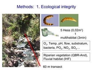 60 m transect 5 Hess (0,02m 2 )  1 multihabitat (3min) Methods:  1. Ecological integrity   O 2 , Temp, pH, flow, substratum, bacteria, PO 4 , NO 3 , SO 4 …   Riparian vegetation (QBR-And), Fluvial habitat (IHF) 