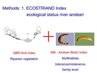 ecological status river andean Methods: 1. ECOSTRIAND Index QBR-And index   Riparian vegetation  ABI - Andean Biotic Index  Multihabitat, tolerance/intolerance,  family level   