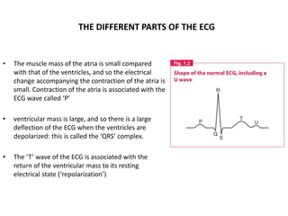 THE DIFFERENT PARTS OF THE ECG
• The muscle mass of the atria is small compared
with that of the ventricles, and so the electrical
change accompanying the contraction of the atria is
small. Contraction of the atria is associated with the
ECG wave called ‘P’
• ventricular mass is large, and so there is a large
deflection of the ECG when the ventricles are
depolarized: this is called the ‘QRS’ complex.
• The ‘T’ wave of the ECG is associated with the
return of the ventricular mass to its resting
electrical state (‘repolarization’)
 