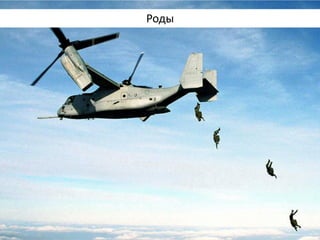 Роды  