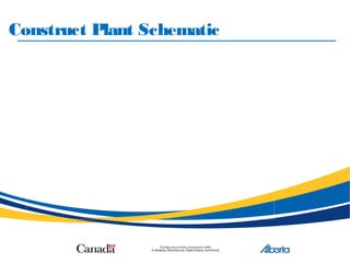 Construct Plant Schematic
Your Establishment’s Plant
Schematic Here
 