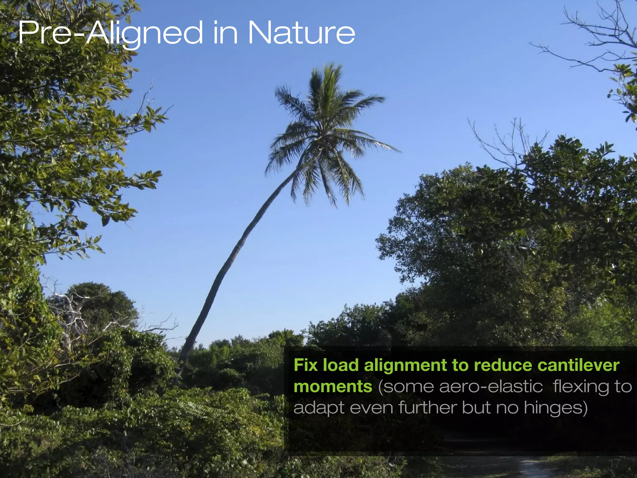 1177 
Pre-Aligned in Nature 
Fix load alignment to reduce cantilever 
moments (some aero-elastic flexing to 
adapt even further but no hinges) 
 