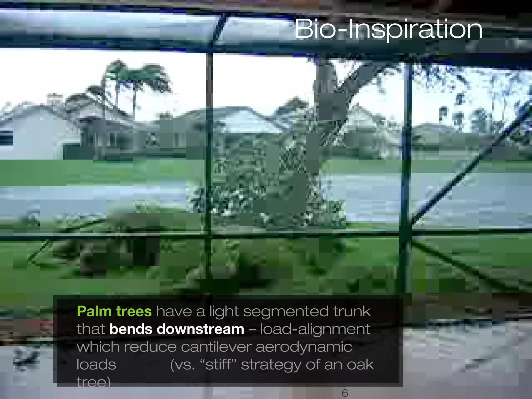 Bio-Inspiration 
6 
Palm trees have a light segmented trunk 
that bends downstream – load-alignment 
which reduce cantilever aerodynamic 
loads (vs. “stiff” strategy of an oak 
tree) 
6 
 