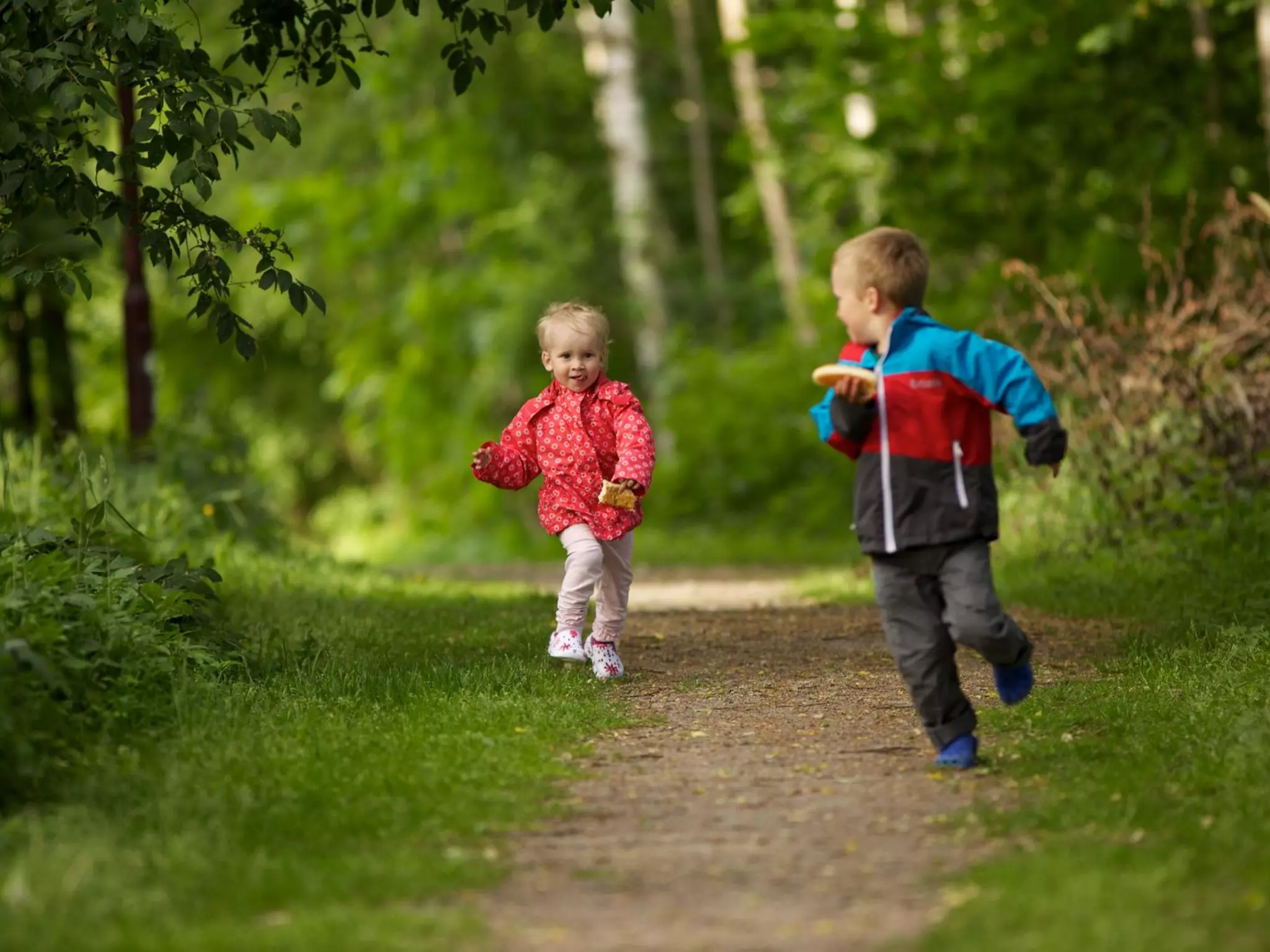 一張投影片
一個概念
 