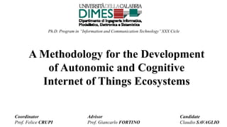 Ph.D. Program in ‘‘Information and Communication Technology’’XXX Cicle
A Methodology for the Development
of Autonomic and Cognitive
Internet of Things Ecosystems
Coordinator
Prof. Felice CRUPI
Advisor
Prof. Giancarlo FORTINO
Candidate
Claudio SAVAGLIO
 