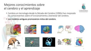Mejores conocimientos sobre
el cerebro y el aprendizaje
• Cambios en tecnología desde la Década del Cerebro (1990s) han mejorado
los conocimientos sobre el funcionamiento y bienestar del cerebro.
• Los modelos antiguos promovieron mitos del cerebro.
Tokuhama-Espinosa 74
 