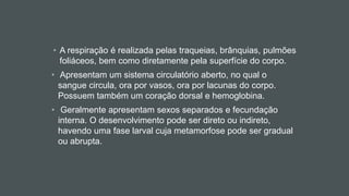 • A respiração é realizada pelas traqueias, brânquias, pulmões
foliáceos, bem como diretamente pela superfície do corpo.
• Apresentam um sistema circulatório aberto, no qual o
sangue circula, ora por vasos, ora por lacunas do corpo.
Possuem também um coração dorsal e hemoglobina.
• Geralmente apresentam sexos separados e fecundação
interna. O desenvolvimento pode ser direto ou indireto,
havendo uma fase larval cuja metamorfose pode ser gradual
ou abrupta.
 