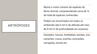 ARTRÓPODES
Reúne o maior número de espécies do
Reino Animal, compreendendo cerca de ¾
do total de espécies conhecidas.
Podem ser encontrados em todos os
ambientes (de 6 mil m de altitude até mais
de 9 mil m de profundidade em oceanos).
Exemplos: moscas, borboletas, baratas, siris,
camarões, cracas, aranhas, escorpiões,
carrapatos, lacráia etc.
 