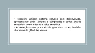 • Possuem também sistema nervoso bem desenvolvido,
apresentando olhos (simples e compostos) e outros órgãos
sensoriais, como antenas e pelos sensitivos.
• A excreção ocorre por meio de glândulas coxais, também
chamadas de glândulas verdes.
 