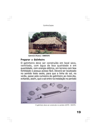 19
Cartilha/Ceplac
Galinheiro Rústico – EMBRAPA
Preparar o Galinheiro
O galinheiro deve ser construído em local seco,
ventilado, com água de boa qualidade e em
quantidade, com energia elétrica, em terreno com boa
fertilidade e possua acesso fácil. Deverá ser localizado
no sentido leste oeste, para que a linha do sol, no
verão, passe pela cumeeira do galinheiro ao meio-dia,
evitando, assim, que o sol entre na instalação no período
O galinheiro deve ser construído no sentido LESTE / OESTE.
 
