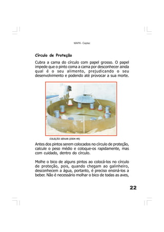 22
MAPA - Ceplac
Círculo de Proteção
Cubra a cama do círculo com papel grosso. O papel
impede que o pinto coma a cama por desconhecer ainda
qual é o seu alimento, prejudicando o seu
desenvolvimento e podendo até provocar a sua morte.
COLEÇÃO SENAR (2004:49)
Antes dos pintos serem colocados no círculo de proteção,
calcule o peso médio e coloque-os rapidamente, mas
com cuidado, dentro do círculo.
Molhe o bico de alguns pintos ao colocá-los no círculo
de proteção, pois, quando chegam ao galinheiro,
desconhecem a água, portanto, é preciso ensiná-los a
beber. Não é necessário molhar o bico de todas as aves,
 