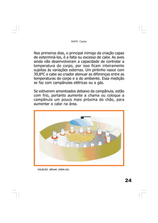 24
MAPA - Ceplac
Nos primeiros dias, o principal inimigo da criação capaz
de exterminá-los, é a falta ou excesso de calor. As aves
ainda não desenvolveram a capacidade de controlar a
temperatura do corpo, por isso ficam inteiramente
sujeitas às variações externas. Um pintinho nasce com
39,8ºC e cabe ao criador atenuar as diferenças entre as
temperaturas do corpo e a do ambiente. Essa medição
se faz com campânulas elétricas ou a gás.
Se estiverem amontoados debaixo da campânula, estão
com frio, portanto aumente a chama ou coloque a
campânula um pouco mais próxima do chão, para
aumentar o calor na área.
COLEÇÃO SENAR (2004:62)
 