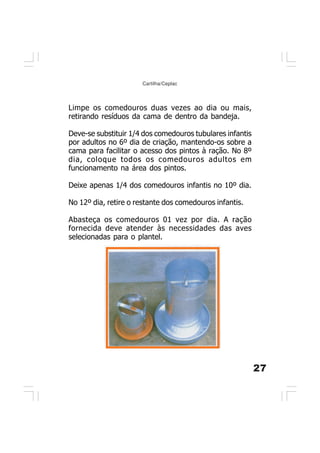 27
Cartilha/Ceplac
Limpe os comedouros duas vezes ao dia ou mais,
retirando resíduos da cama de dentro da bandeja.
Deve-se substituir 1/4 dos comedouros tubulares infantis
por adultos no 6º dia de criação, mantendo-os sobre a
cama para facilitar o acesso dos pintos à ração. No 8º
dia, coloque todos os comedouros adultos em
funcionamento na área dos pintos.
Deixe apenas 1/4 dos comedouros infantis no 10º dia.
No 12º dia, retire o restante dos comedouros infantis.
Abasteça os comedouros 01 vez por dia. A ração
fornecida deve atender às necessidades das aves
selecionadas para o plantel.
 