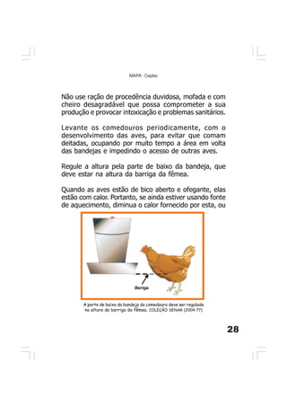 28
MAPA - Ceplac
A parte de baixo da bandeja do comedouro deve ser regulada
na altura da barriga da fêmea. COLEÇÃO SENAR (2004:77)
Não use ração de procedência duvidosa, mofada e com
cheiro desagradável que possa comprometer a sua
produção e provocar intoxicação e problemas sanitários.
Levante os comedouros periodicamente, com o
desenvolvimento das aves, para evitar que comam
deitadas, ocupando por muito tempo a área em volta
das bandejas e impedindo o acesso de outras aves.
Regule a altura pela parte de baixo da bandeja, que
deve estar na altura da barriga da fêmea.
Quando as aves estão de bico aberto e ofegante, elas
estão com calor. Portanto, se ainda estiver usando fonte
de aquecimento, diminua o calor fornecido por esta, ou
 