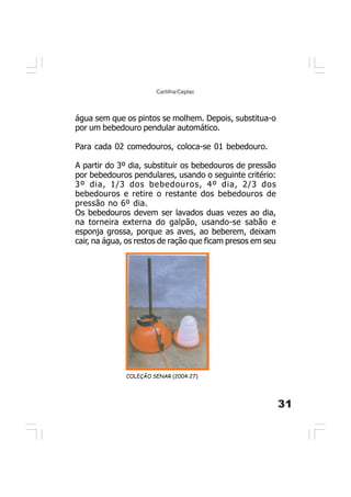 31
Cartilha/Ceplac
água sem que os pintos se molhem. Depois, substitua-o
por um bebedouro pendular automático.
Para cada 02 comedouros, coloca-se 01 bebedouro.
A partir do 3º dia, substituir os bebedouros de pressão
por bebedouros pendulares, usando o seguinte critério:
3º dia, 1/3 dos bebedouros, 4º dia, 2/3 dos
bebedouros e retire o restante dos bebedouros de
pressão no 6º dia.
Os bebedouros devem ser lavados duas vezes ao dia,
na torneira externa do galpão, usando-se sabão e
esponja grossa, porque as aves, ao beberem, deixam
cair, na água, os restos de ração que ficam presos em seu
COLEÇÃO SENAR (2004:27)
 