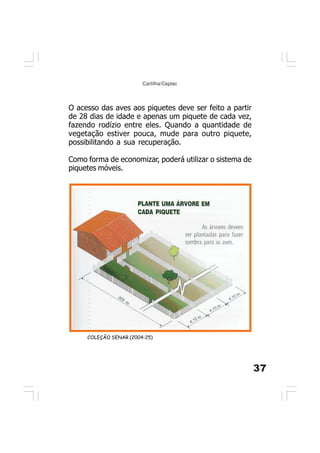 37
Cartilha/Ceplac
O acesso das aves aos piquetes deve ser feito a partir
de 28 dias de idade e apenas um piquete de cada vez,
fazendo rodízio entre eles. Quando a quantidade de
vegetação estiver pouca, mude para outro piquete,
possibilitando a sua recuperação.
Como forma de economizar, poderá utilizar o sistema de
piquetes móveis.
COLEÇÃO SENAR (2004:25)
 