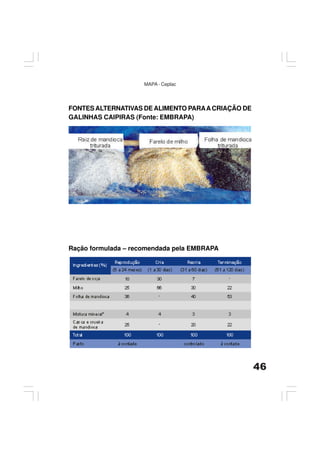 46
MAPA - Ceplac
FONTES ALTERNATIVAS DE ALIMENTO PARAACRIAÇÃO DE
GALINHAS CAIPIRAS (Fonte: EMBRAPA)
Ração formulada – recomendada pela EMBRAPA
 