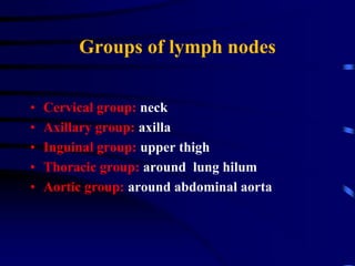 Groups of lymph nodes
• Cervical group: neck
• Axillary group: axilla
• Inguinal group: upper thigh
• Thoracic group: around lung hilum
• Aortic group: around abdominal aorta
 