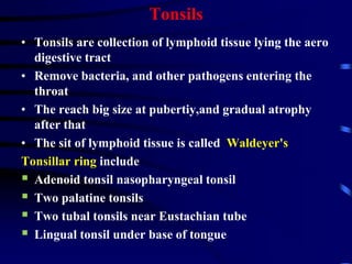 Tonsils
• Tonsils are collection of lymphoid tissue lying the aero
digestive tract
• Remove bacteria, and other pathogens entering the
throat
• The reach big size at pubertiy,and gradual atrophy
after that
• The sit of lymphoid tissue is called Waldeyer's
Tonsillar ring include
 Adenoid tonsil nasopharyngeal tonsil
 Two palatine tonsils
 Two tubal tonsils near Eustachian tube
 Lingual tonsil under base of tongue
 