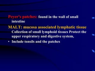 Peyer's patches: found in the wall of small
intestine
MALT: mucosa associated lymphatic tissue
Collection of small lymphoid tissues Protect the
upper respiratory and digestive system,
• Include tonsils and the patches
 