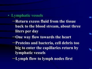• Lymphatic vessels
–Return excess fluid from the tissue
back to the blood stream, about three
liters per day
–One way flow towards the heart
–Proteins and bacteria, cell debris too
big to enter the capillaries return by
lymphatic vessels
–Lymph flow to lymph nodes first
 