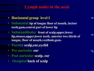 Lymph nodes in the neck
• Horizontal group level I
• Submental tip of tongue floor of mouth, incisor
teeth,gum,central part of lower lip
• Submandibular front of scalp,upper,lower
lip,sinuses,upper,lower teeth, anterior two thirds of
tongue, floor of mouth,vestibule,gum.
• Parotid scalp,ear,eyelid
• Pre auricular ear
• Post auricular scalp, ear
• Occipital back of scalp
 