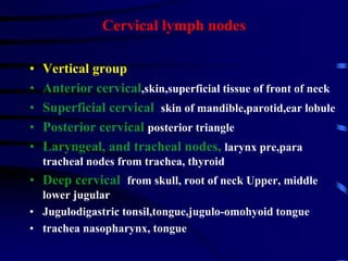 Cervical lymph nodes
• Vertical group
• Anterior cervical,skin,superficial tissue of front of neck
• Superficial cervical skin of mandible,parotid,ear lobule
• Posterior cervical posterior triangle
• Laryngeal, and tracheal nodes, larynx pre,para
tracheal nodes from trachea, thyroid
• Deep cervical from skull, root of neck Upper, middle
lower jugular
• Jugulodigastric tonsil,tongue,jugulo-omohyoid tongue
• trachea nasopharynx, tongue
 