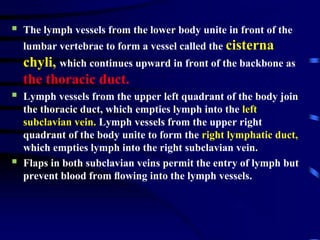  The lymph vessels from the lower body unite in front of the
lumbar vertebrae to form a vessel called the cisterna
chyli, which continues upward in front of the backbone as
the thoracic duct.
 Lymph vessels from the upper left quadrant of the body join
the thoracic duct, which empties lymph into the left
subclavian vein. Lymph vessels from the upper right
quadrant of the body unite to form the right lymphatic duct,
which empties lymph into the right subclavian vein.
 Flaps in both subclavian veins permit the entry of lymph but
prevent blood from ﬂowing into the lymph vessels.
 
