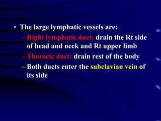 • The large lymphatic vessels are:
– Right lymphatic duct: drain the Rt side
of head and neck and Rt upper limb
– Thoracic duct: drain rest of the body
– Both ducts enter the subclavian vein of
its side
 
