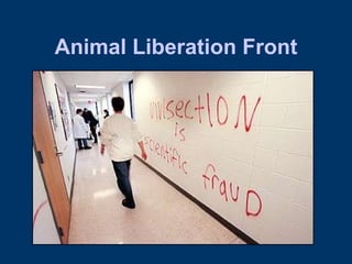 Animal Liberation Front 