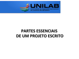 PARTES ESSENCIAISPARTES ESSENCIAIS
DE UM PROJETO ESCRITODE UM PROJETO ESCRITO
 