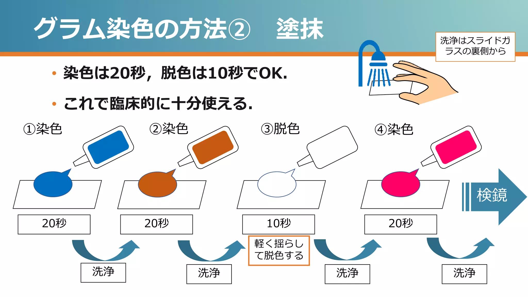 グラム染色の方法② 塗抹
• 染色は20秒，脱色は10秒でOK．
• これで臨床的に十分使える．
①染色 ②染色 ③脱色 ④染色
20秒 20秒 10秒 20秒
軽く揺らし
て脱色する
洗浄 洗浄 洗浄 洗浄
洗浄はスライドガ
ラスの裏側から
検鏡
 