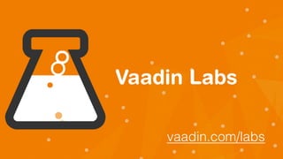 Vaadin Labs
vaadin.com/labs
 
