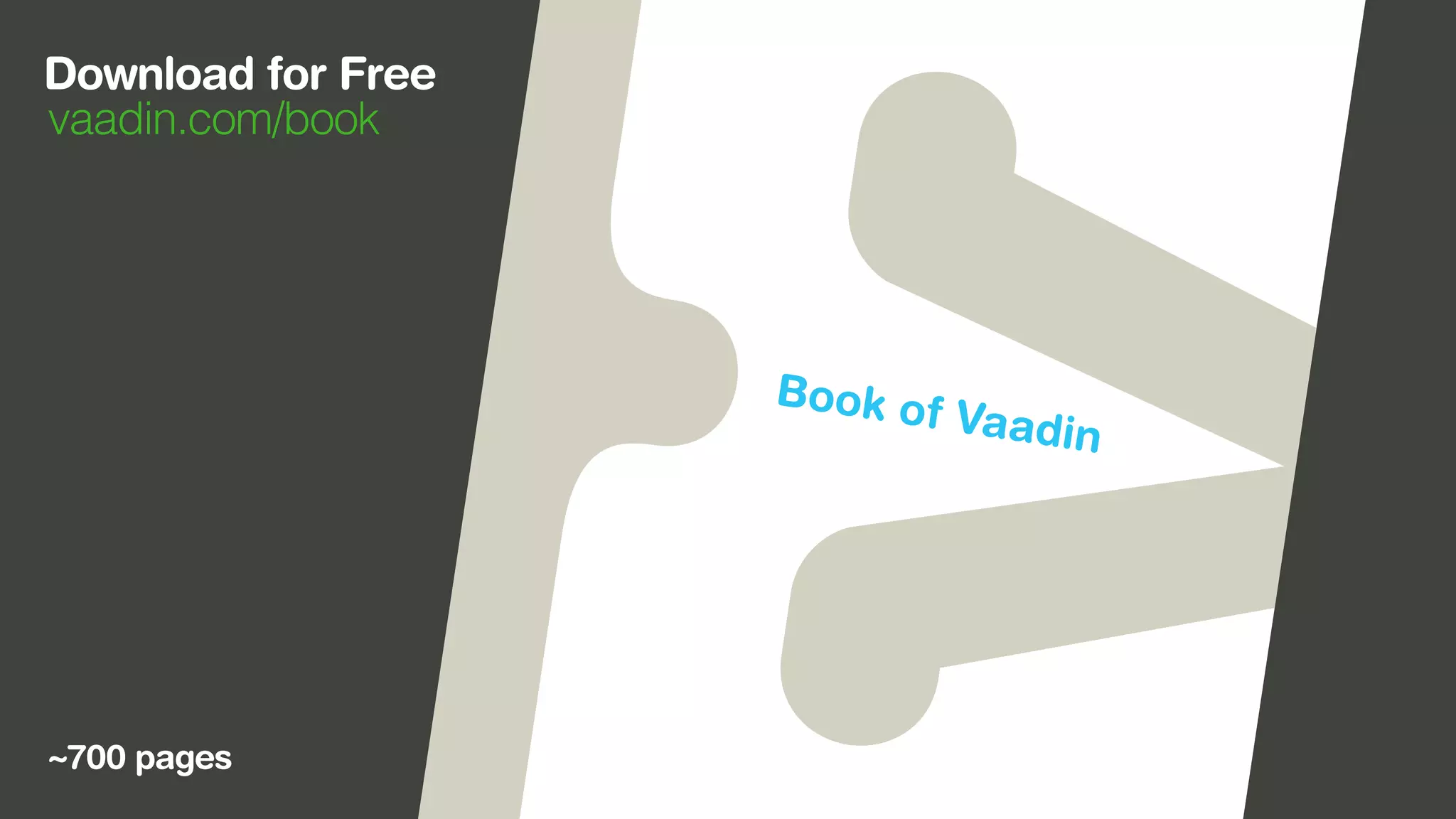 Download for Free
     vaadin.com/book




 ework
 s that
o u an d




      ~700 pages
 