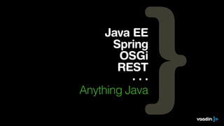 Java EE
Spring
OSGi
REST
· · ·
Anything Java
 
