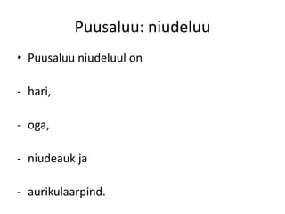 Puusaluu: niudeluu
• Puusaluu niudeluul on

- hari,

- oga,

- niudeauk ja

- aurikulaarpind.
 