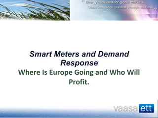 Smart Meters and Demand Response Where Is Europe Going and Who Will Profit. 