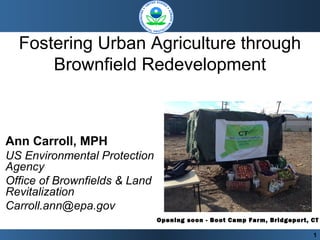 Fostering Urban Agriculture through
Brownfield Redevelopment
Ann Carroll, MPH
US Environmental Protection
Agency
Office of Brownfields & Land
Revitalization
Carroll.ann@epa.gov
1
Opening soon - Boot Camp Farm, Bridgeport, CT
 