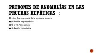 Comprehensive Interpretation of Liver Function Tests and Bilirubin ...