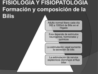FISIOLOGÍA Y FISIOPATOLOGÍA
Formación y composición de la
Bilis
Adulto normal libera cada día
500 a 1000ml de Bilis en el
Hígado
Esta depende de estímulos
neurógenos, hormonales y
químicos
La estimulación vagal aumenta
la secreción de bilis
La estimulación de nervios
esplácnicos disminuye el flujo
biliar

 