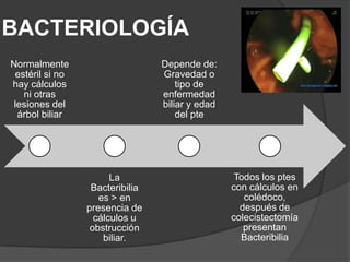 BACTERIOLOGÍA
Normalmente
estéril si no
hay cálculos
ni otras
lesiones del
árbol biliar

Depende de:
Gravedad o
tipo de
enfermedad
biliar y edad
del pte

La
Bacteribilia
es > en
presencia de
cálculos u
obstrucción
biliar.

Todos los ptes
con cálculos en
colédoco,
después de
colecistectomía
presentan
Bacteribilia

 