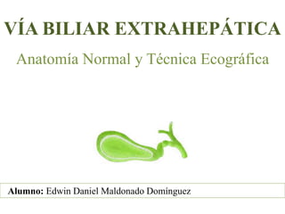 VÍA BILIAR EXTRAHEPÁTICA 
Anatomía Normal y Técnica Ecográfica 
Alumno: Edwin Daniel Maldonado Domínguez 
 