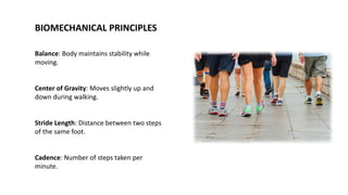 Fundamentals of Biomechanics and Its Application in Sports Performance ...