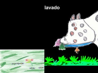 Anda no prado a pastar.  Respirando o ar  lavado 