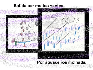 Por aguaceiros molhada,   Batida por muitos ventos,   